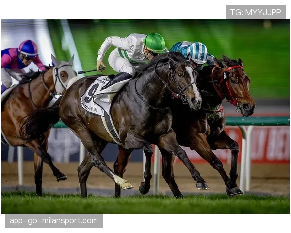 迪拜马拉松夜赛：高温夜间条件下的配速控制实验场，迪拜马术