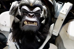 米兰真人-王者荣耀顶尖玩家操作演示，王者顶级玩家